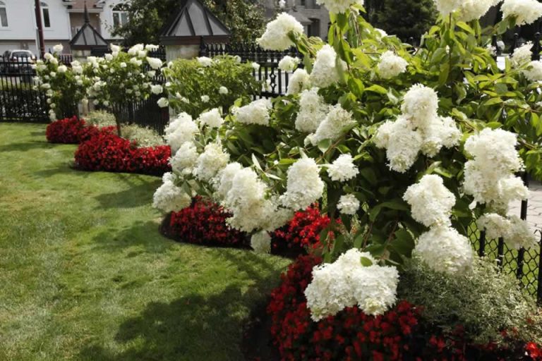 Gordon Frank Recommends Paul’s Landscaping for a Backyard & Front Yard Transformation Done Right